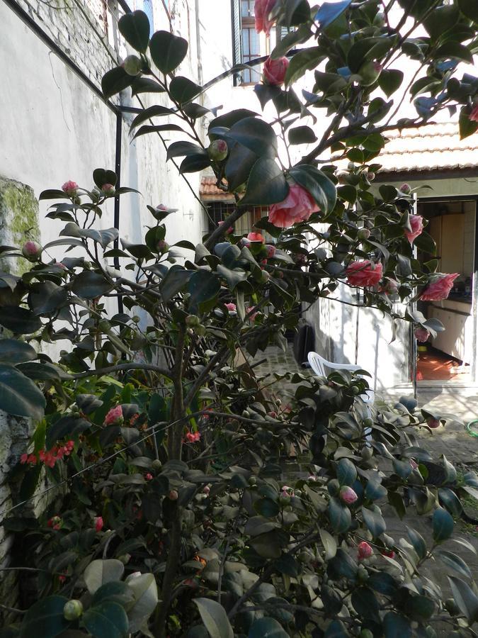 B&B Polo (Adults Only) Villa Maipu Exterior photo